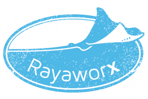 Logo Rayaworx